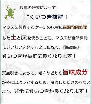 一部地域送料無料★10匹セット 冷凍ファジー　約5.5cm　爬虫類　冷凍えさ Amazon | ZAZOO 冷凍マウス ファジー10匹 6.1〜8g 約5.5cm 真空